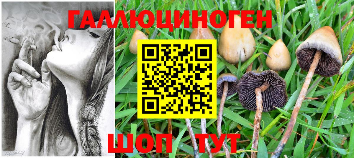 Галлюциногенные грибы прущие грибы  Вход с VPN  Котельники 