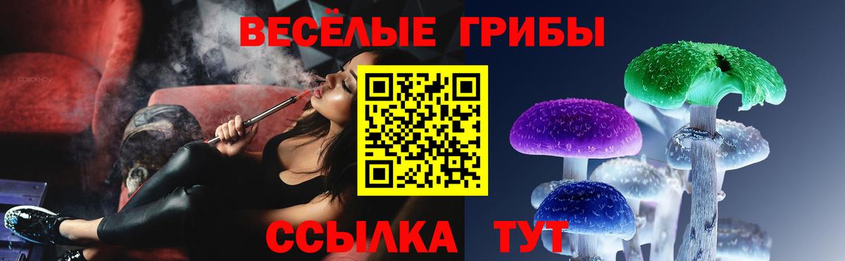 Псилоцибиновые грибы прущие грибы Котельники